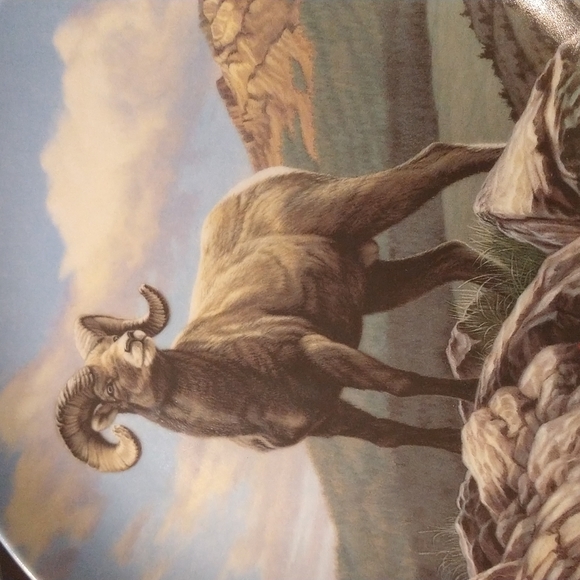 1989 "The Bighorn Sheep" by Paul Krapf - Picture 3 of 8